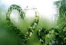 波黑主场不敌罗马尼亚，出线希望减少