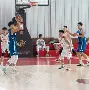关于鏖战五局，曙光先锋终于血洗全场，操作拉满的信息